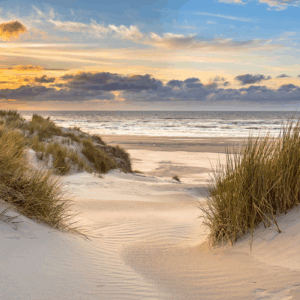 Beach dunes at sunset with ocean view.