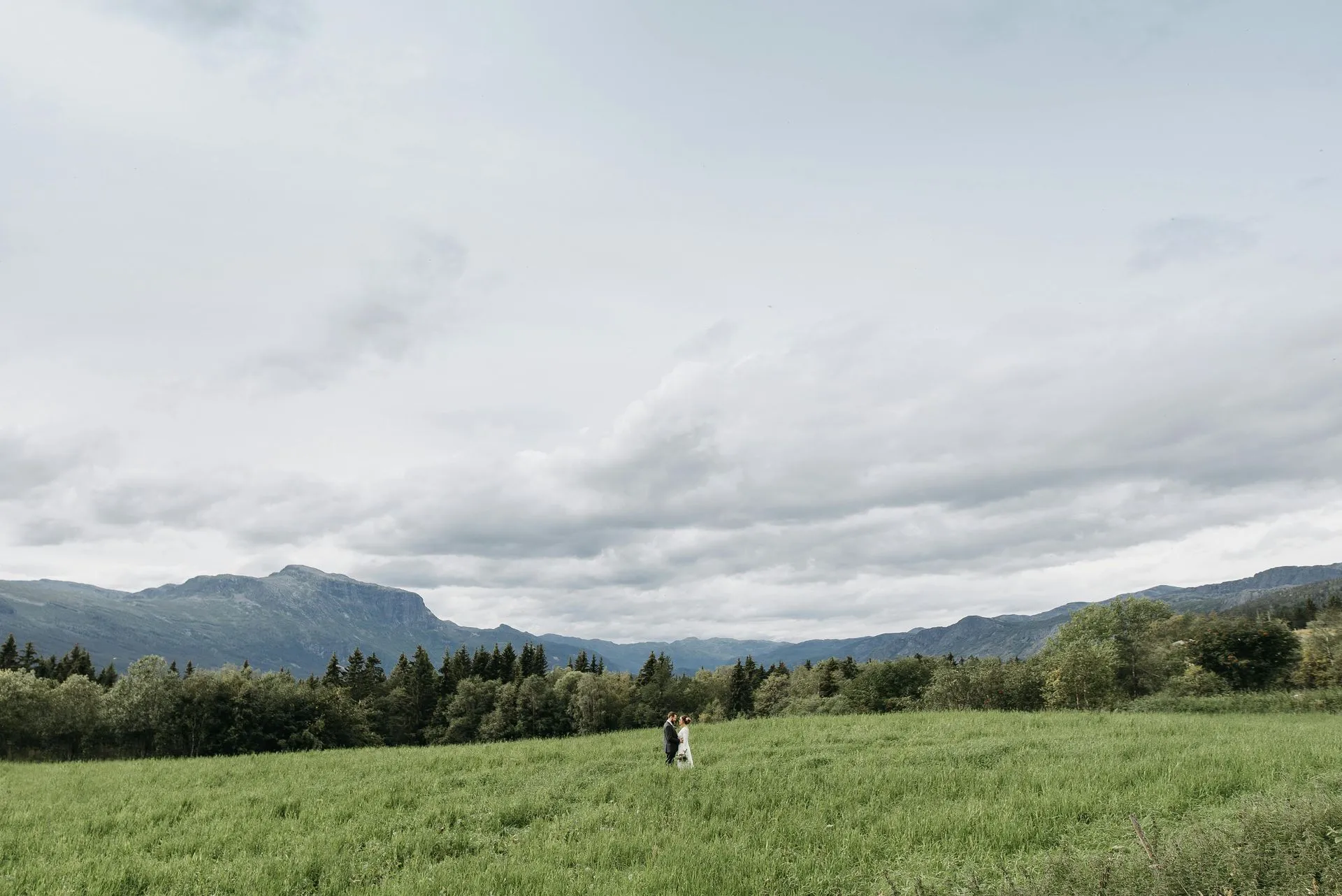 pexels-photo-7178889-1920w