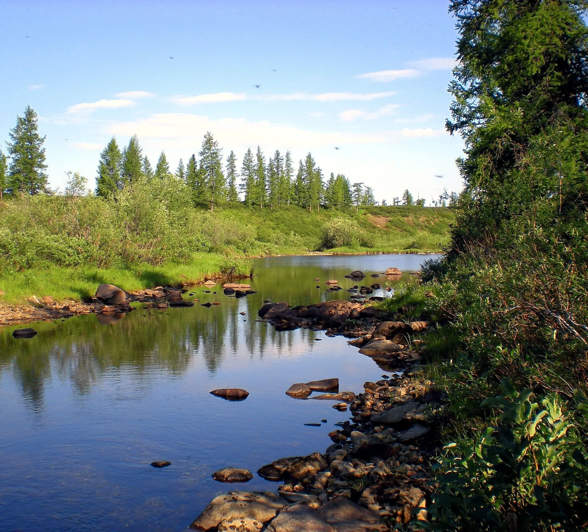 34922422_river-in-taiga-in-northern-russia-the-nature-of-the-taiga-in-a-mountainous-area-1920w.jpg